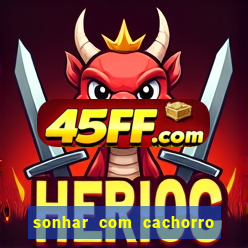 sonhar com cachorro morto jogo do bicho